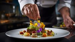 Cook / Junior Chef