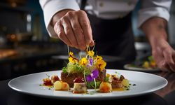 Cook / Junior Chef