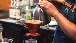 Barista