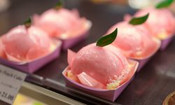Operations Executive F & B (Retail Hours)