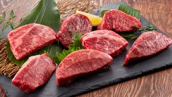 Head Chef / Executive Chef