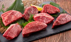 Head Chef / Executive Chef